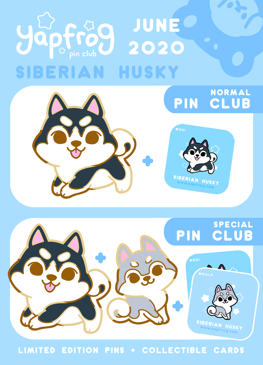 B grade #001-P Siberian Husky Puppy [JUNE 2020]