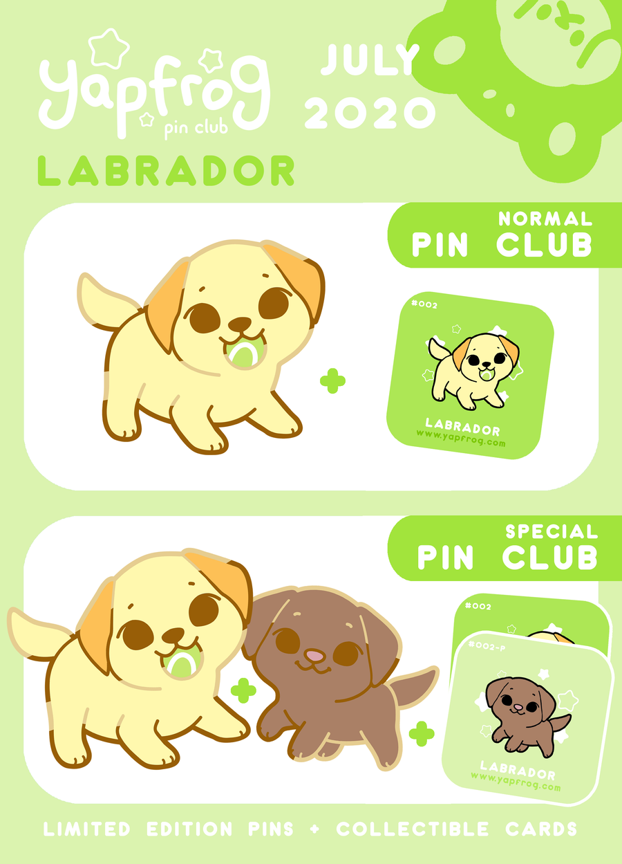 B grade #002-P Labrador Puppy [JULY 2020]