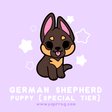 B grade #003-P German Shepherd Puppy [AUGUST 2020]