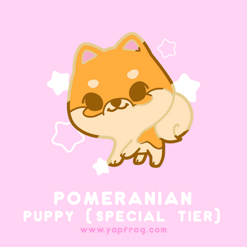 B grade #004-P Pomeranian Puppy [SEPTEMBER 2020]