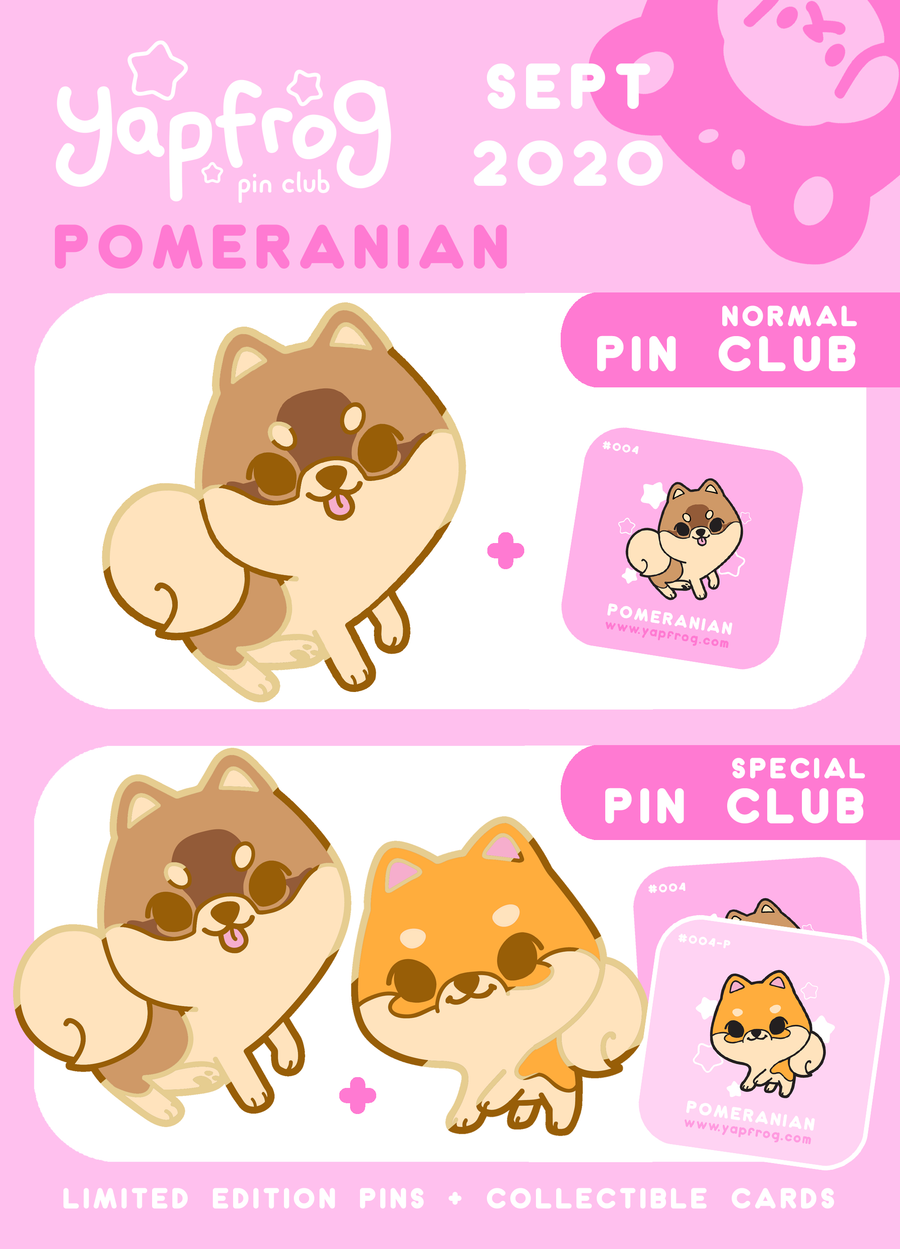 B grade #004-P Pomeranian Puppy [SEPTEMBER 2020]
