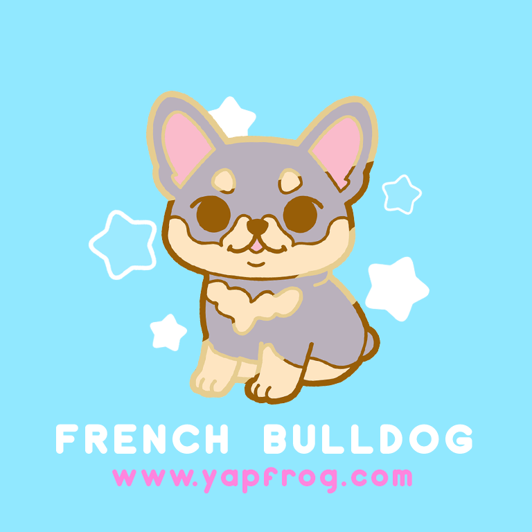 B grade #006-P French Bulldog Puppy [NOVEMBER 2020]