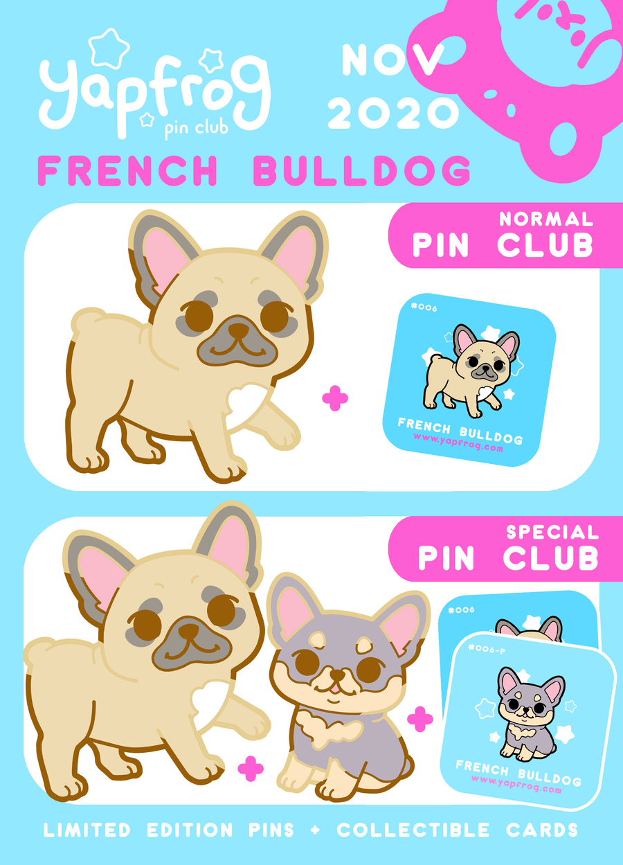 B grade #006-P French Bulldog Puppy [NOVEMBER 2020]