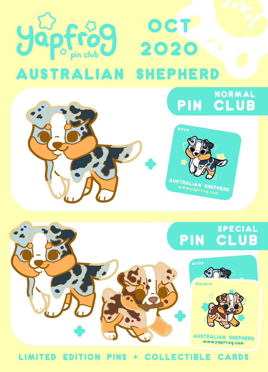 B grade #005 Australian Shepherd [OCTOBER 2020]